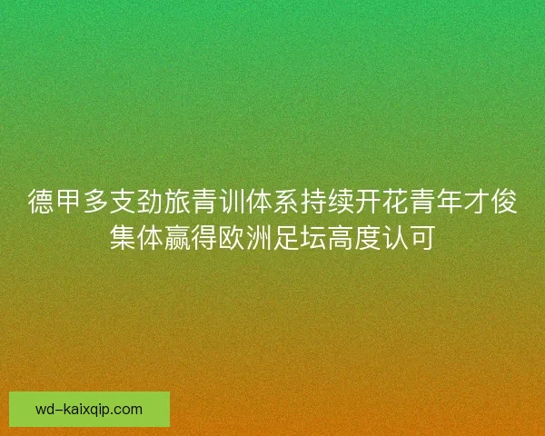 德甲多支劲旅青训体系持续开花青年才俊集体赢得欧洲足坛高度认可